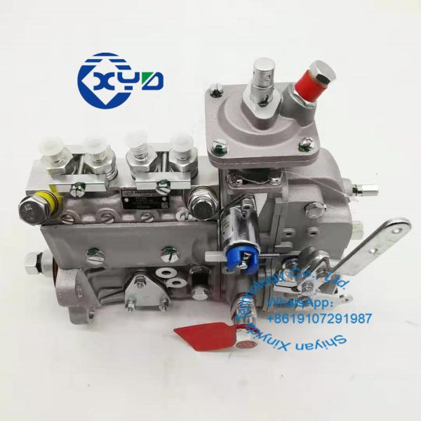 High Pressure Fuel Injection Pump 3973846 for Cummins 4B3.9-G2 4B 4BT 4BTA 6B 6BT 6BTA