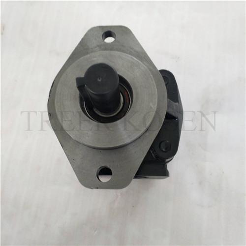 Hydraulic gear motor M20A997BEAF2043