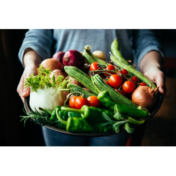 Les acides aminés d'agriculture de Biostimulant 50% d'engrais organique se montent à soluble dans l'eau