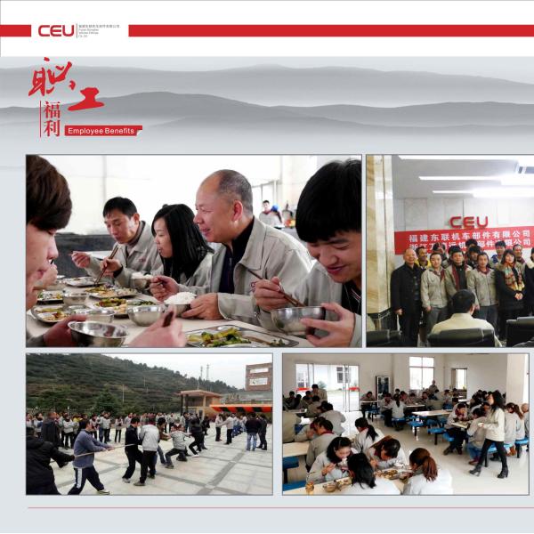 FUjian Donglian Vehicle Fittings Co., Ltd.