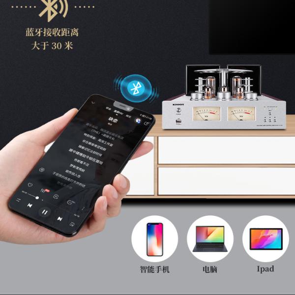 HiFi Wireless Bluetooth Audio Amplifier For Home Music Sound Speaker
