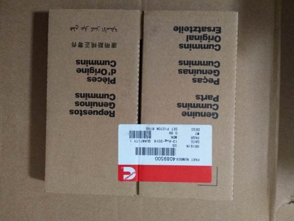 Cummins piston ring 3801056 4955169 3802420 3802429 4089500  AR12098 3802040 3802230 4089644  4955169