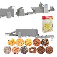 SS304 ligne de production de flocons de maïs extrudeuse alimentaire soufflée 300 kg/h Traitement des céréales