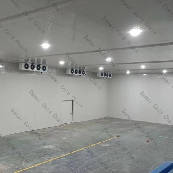 Commercial Freezer Cold Room 220V 380V Air Cooled / Water Cooled