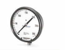 Stainless Steel 4.5"ASME Pressure Gauge 1259 Safety Spring Tube Pressure Tester