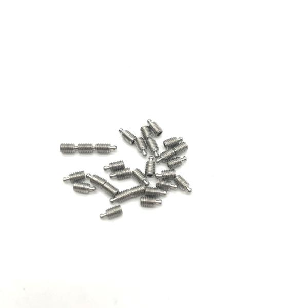 304 Stainless Steel Screws M2 ANSI Standard Electrolytic Polishing