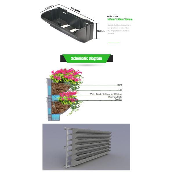 Flower Pot Vertical Garden Planter 12 per Square Meter for Indoor and Outdoor Spaces