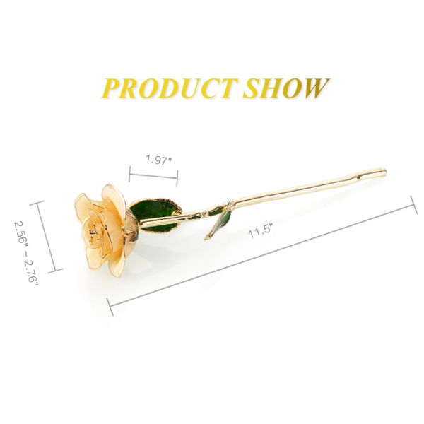 Hot Sale Gold Dipped Real Rose Flower 24k Gold Rose Flower for Graduation and Mother's Day Gifts