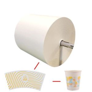 PLA Coated Paper Roll