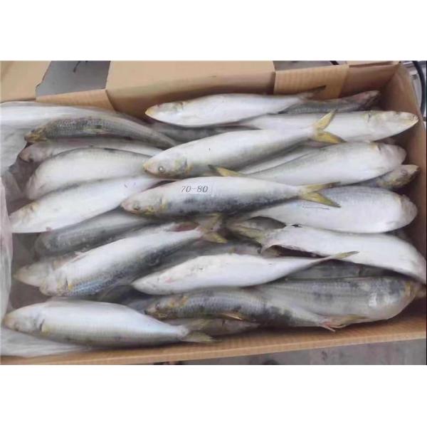 Рыбы сардины Melanostictus свежего Sardinops 75g замороженные
