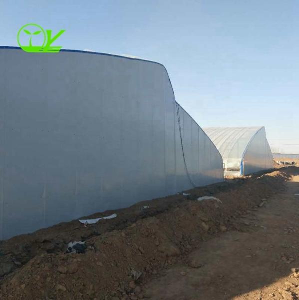 Estufas solares agrícolas com sistema de ventilação e espaço de arco personalizável