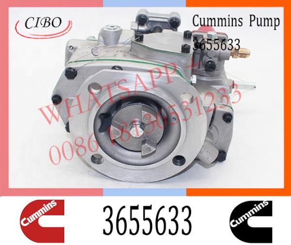 Injeção diesel para a bomba de combustível 3655633 de Cummins KTA19-M3 pinta