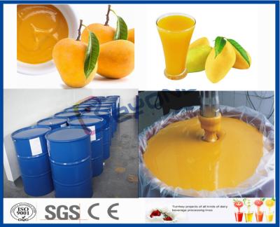 Fruit Processor Machine Mango Processing Line For Juice Processing Plant