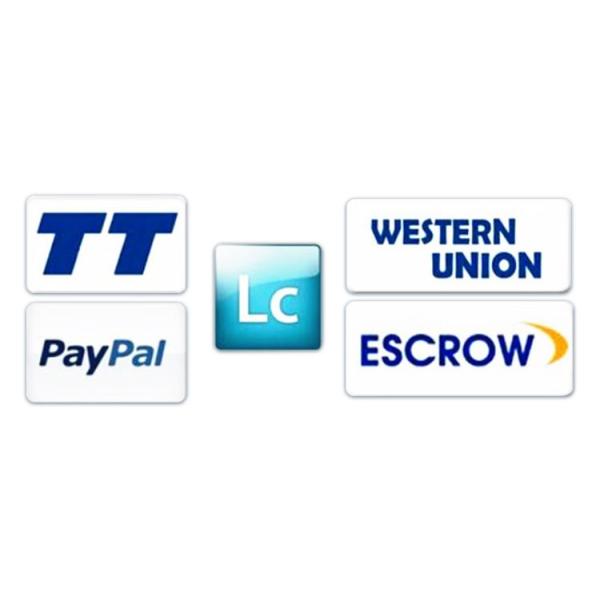 Sausage Filler Meat Filling Machine Sausage Output Machine StainlessSteel Sausage Stuffer Meat Processing Machine