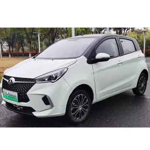 RHD & LHD New Energy Car F10 Electric Vehicle 350Kg Payload & 300Km Range