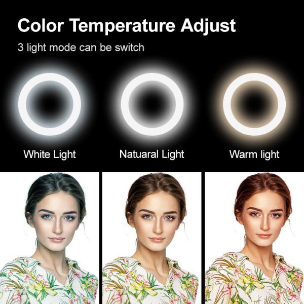 Selfie Oval Beauty Fill Light 5W USB Stepless Dimmable Lamp With Mirror Live Stream