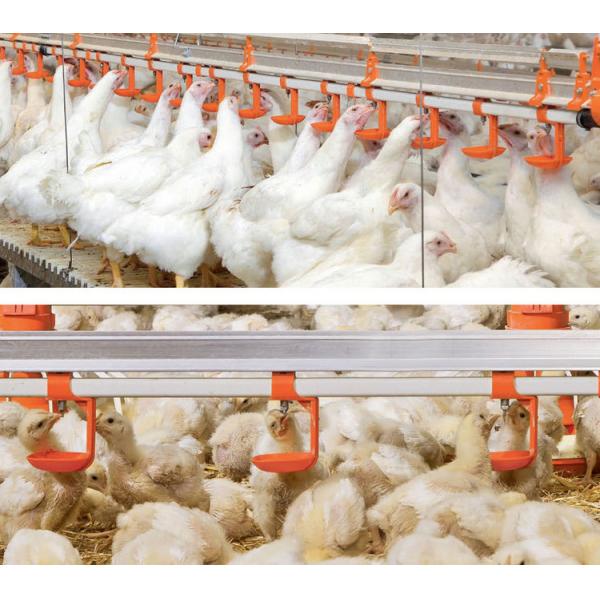 PVC Poultry House Accessories Water Inlet Valve And Pipe