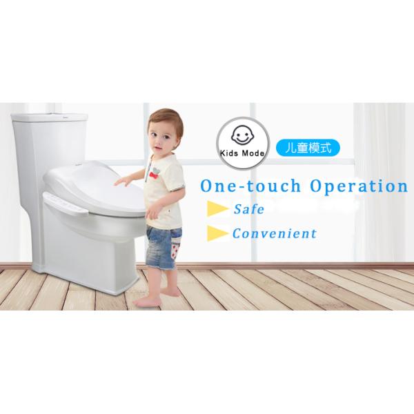 Electric Smart Bidet Intelligent Toilet Seat Cover Anti Bacterial Soft Close Instant Heating