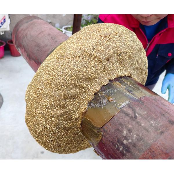 Grease Profiling Petrolatum Mastic Paste For Marine Corrosion Protection