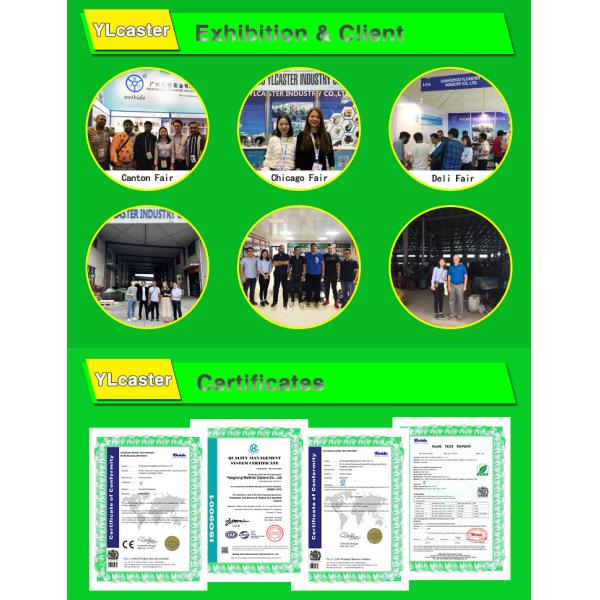 100mm White Nylon Locking 304 Stainless Steel Casters 110kg Capacity