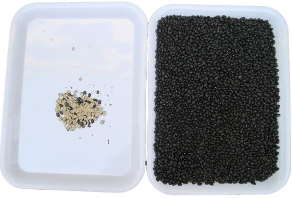 3 Chutes Зерно сортировочная машина для сортировки зерна для черных семян Quinoa