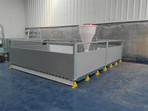 Steel Frame Pig Farrowing Crate With Feeder Customized Color / Size