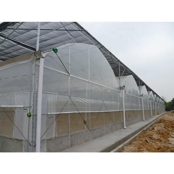 Serre tunnel plastique multi-travées pour fleurs et légumes hydroponiques
