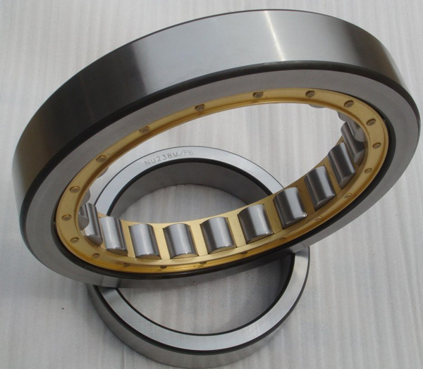 OEM Cylindrical Roller Bearing 80 x 170 x 39mm N316E TVP2 Nylon Cage 6.7kg