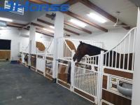 O estábulo resistente alto do cavalo Q195 fronteia a tenda europeia do cavalo com tubos de aço