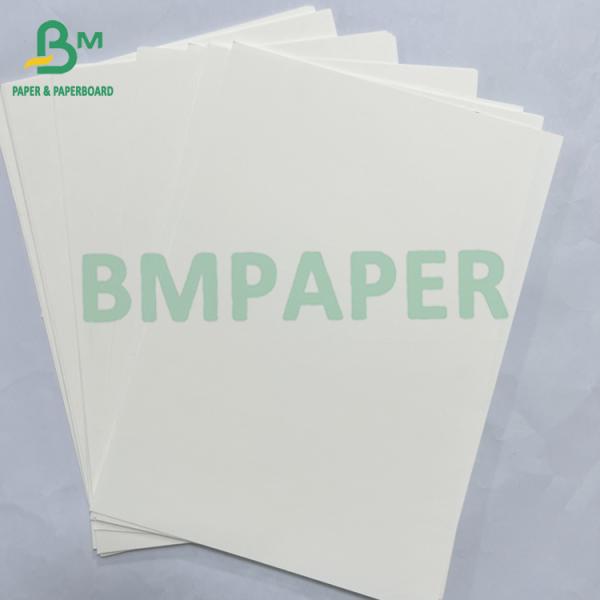 100grs 200grs Recyclable Food Grade Bagasse Pulp White Paper Roll