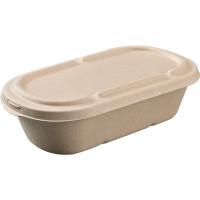 Le fruit de salade de bagasse de canne à sucre emportent des conteneurs de nourriture biodégradables