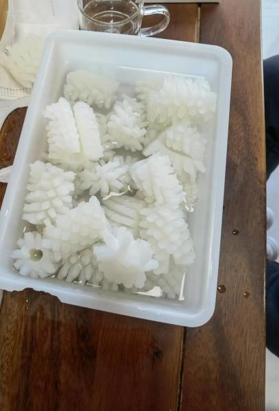 固定重量 新鮮 冷凍 イカの花 Dosidicus Gigas