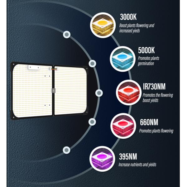 Wide Coverage 120W LED Grow Light Panel Medical Plant Led Cultivation Light