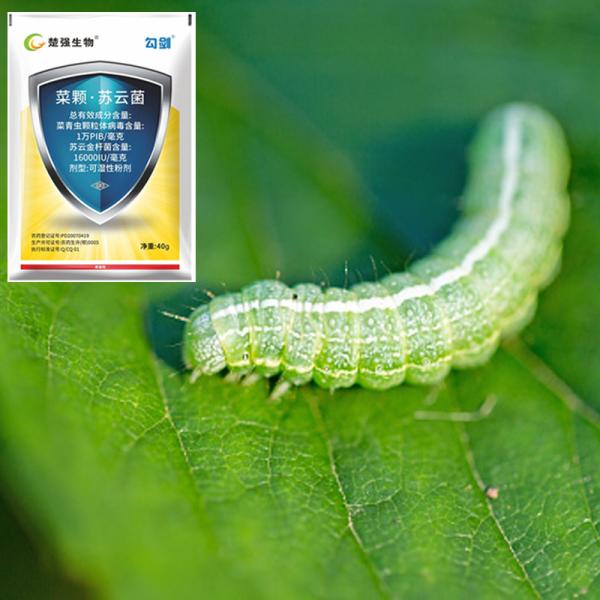 100% натуральные инсектициды и пестициды для растений из листьев томатов SC PrGV Bt