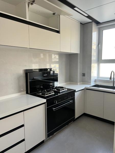 Modern Kitchen Cabinet with Plywood Doors for Residences