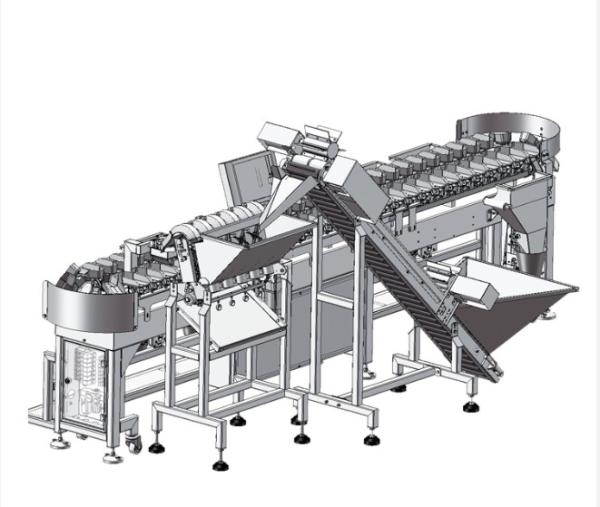 Automatic Conveyor Fruit and Vegetable Weight Sorting Machine