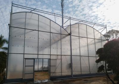Single Layer Greenhouse Hydroponics System Wrought Iron Greenhouse With Film Surface