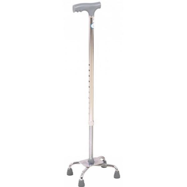 Cane