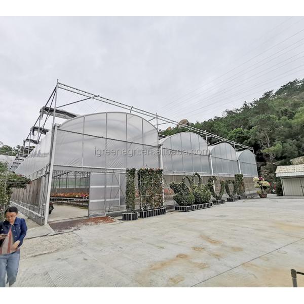 Strong Structure Large Multi-Span Agricultural Tropical Greenhouses PE Plastic Film Covered Gutter Rain Water Collection