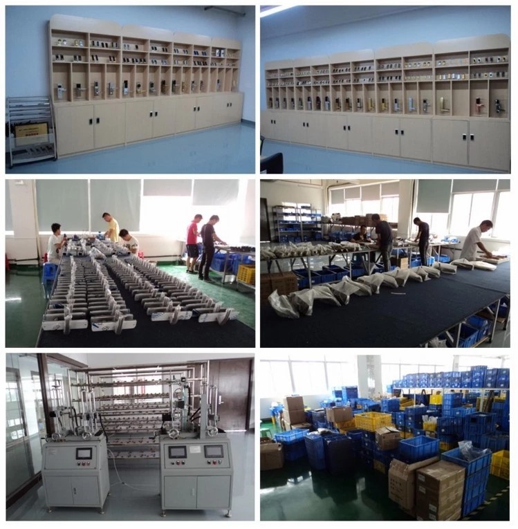 Электронные замки шкафа отпечатка пальцев ключа браслета аквапарк RFID