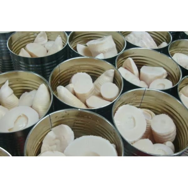 Hot Wholesale Chinese Fine Quality Freshly Slender Pickled Canned Bamboo Shoots Cut Into Halves