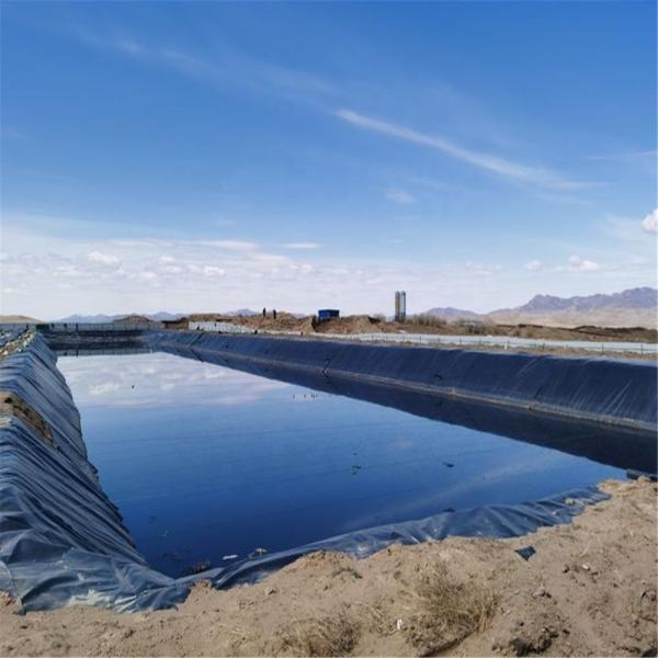 0.5mm 0.75mm HDPE Geomembrane Plastic Liner for Pond Dam Design Style geomembrane