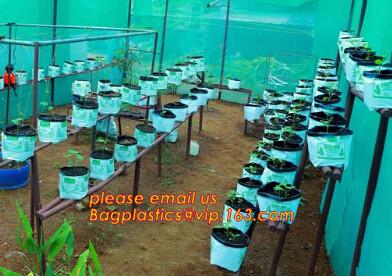 Planter Bags, Grow Bags, Cultivating Bags, Nursery Pot, Greenhouse, Agricultural Film,  Horticulture Garden