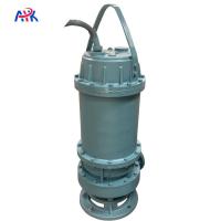 120 m3/h 300 m3/h 55 kW Pompes submersibles non obstruantes à l'eau