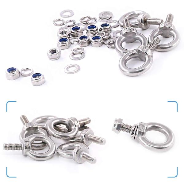 Industry Ring Bolt M6-M36 Eye Bolt with Stainless Steel 304/316 and JIS Standard