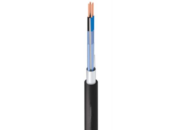 PE / PVC Insulation Special Cables Instrumentation Cable 300 / 500V