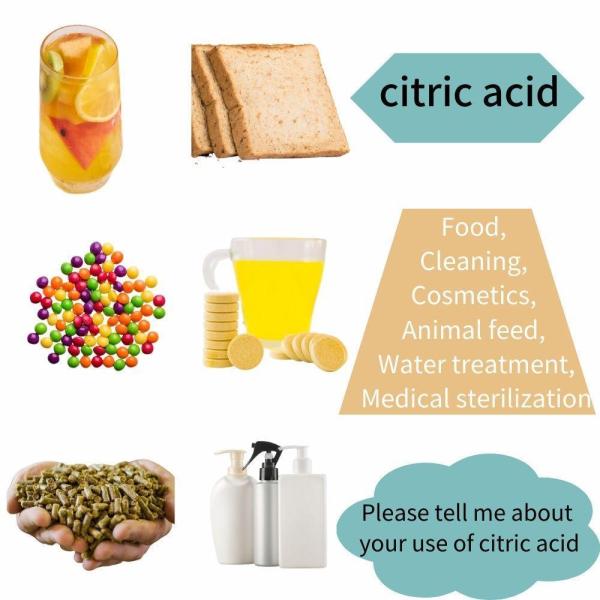 Low Price Food Additive Acidity Regulators Powder Citric Acid Monohydrate Citrate