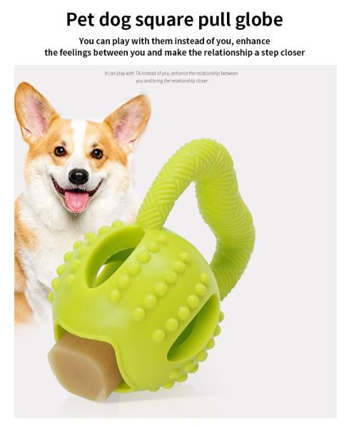 Sustainable TPR Dog Toys Interactive Dog Training Toys Customized
