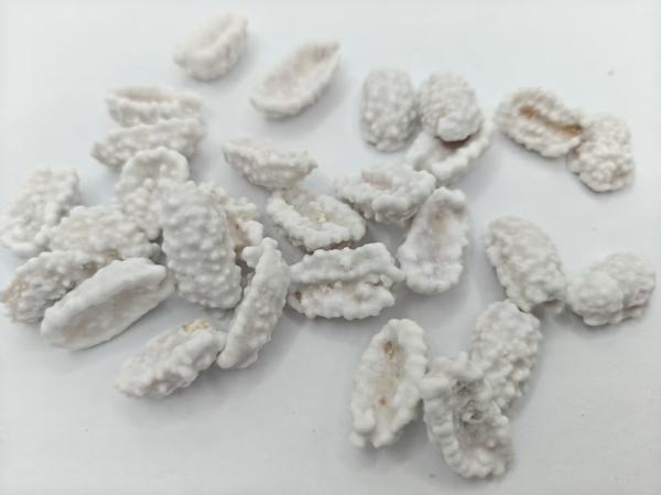 High Protein Milk Coated Peanuts Bulk Packaging Made With Milk Seasoning