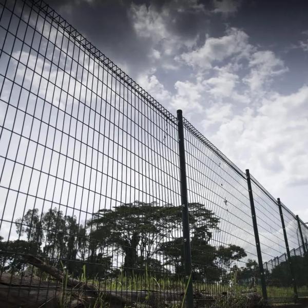 Pvc Or Galvanized Welded Wire Mesh Fence Rolltop 50*150 With Bolts Or Customized